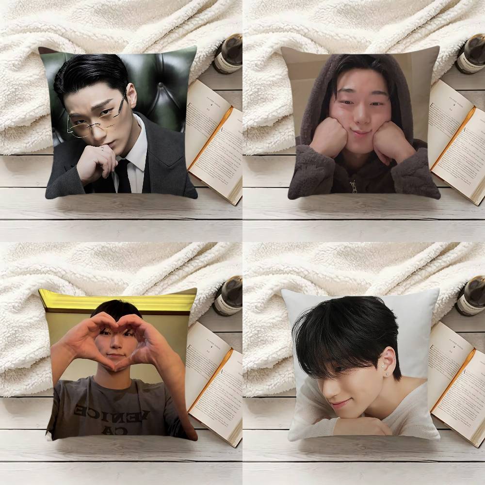 Housse de coussin C-Choi S-San - Home Textiles Inc avis et prix