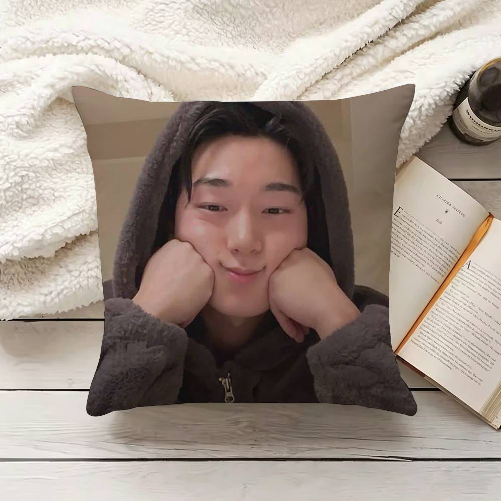 Housse de coussin C-Choi S-San - Home Textiles Inc avis et prix